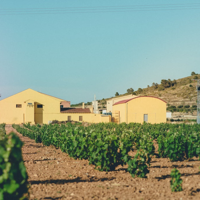 Bodegas Aloren