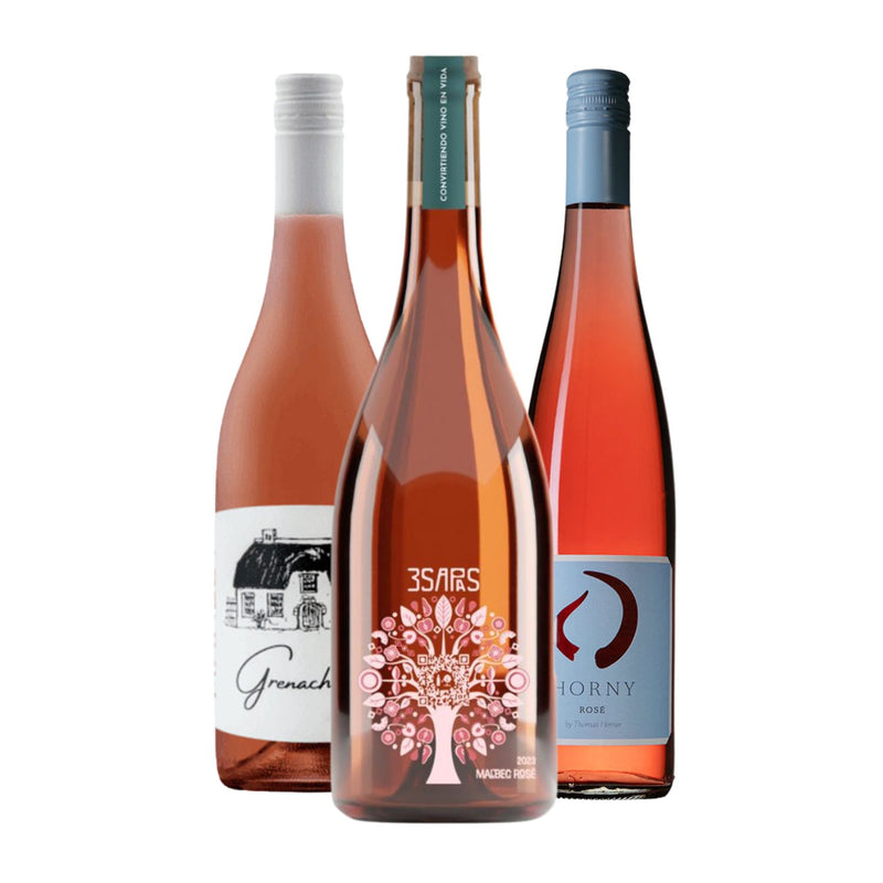 Strahlende Rosévielfalt 1 (3er Paket)