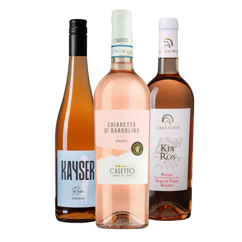 Strahlende Rosévielfalt 3 (3er Paket)