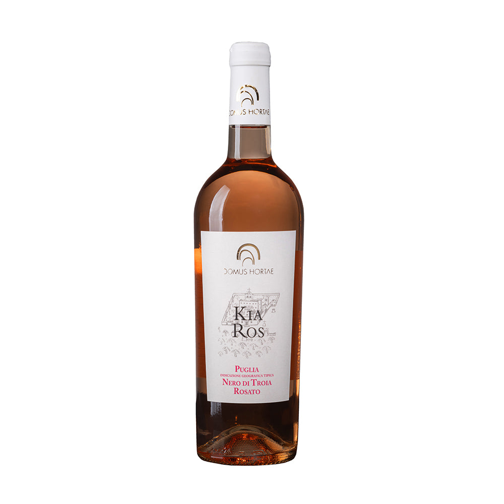 Strahlende Rosévielfalt 3 (3er Paket)