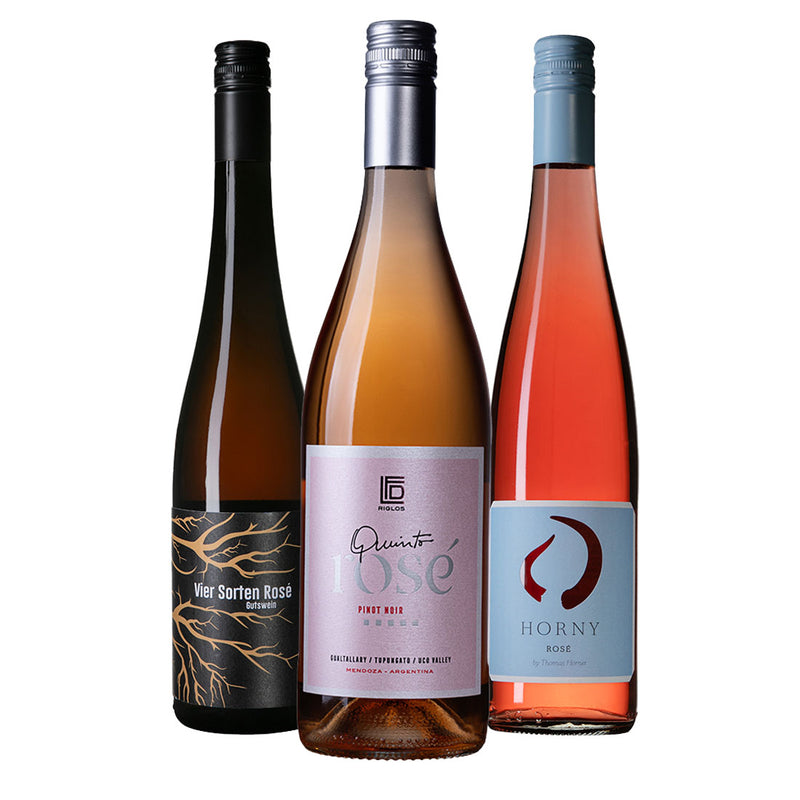 Strahlende Rosévielfalt 1 (3er Paket)