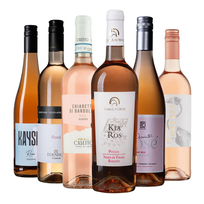 Strahlende Rosévielfalt (6er Paket)