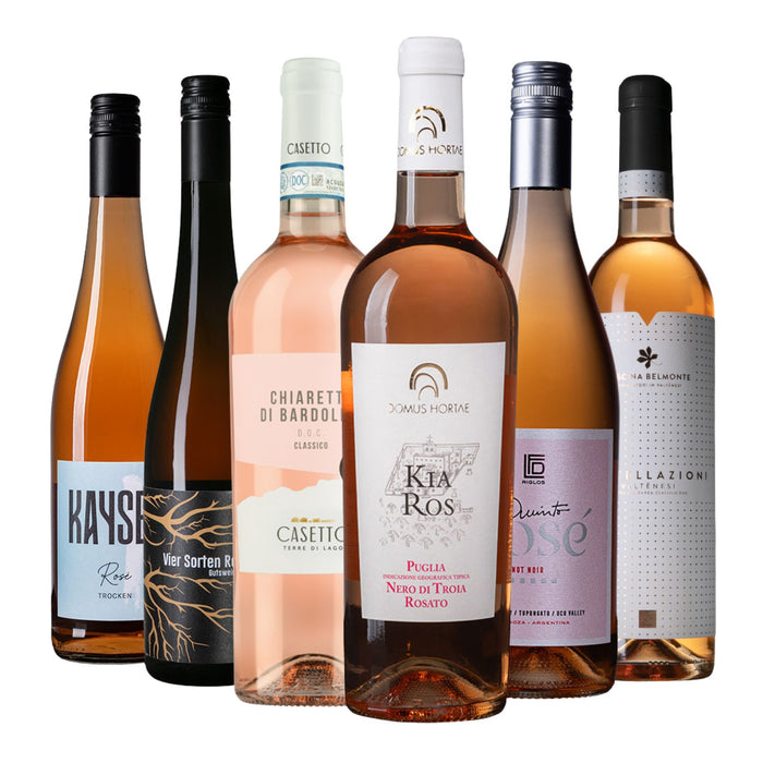 Strahlende Rosévielfalt (6er Paket)