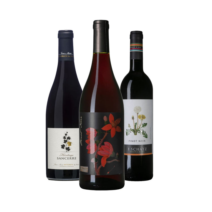 VIP Pinot Noir Paket