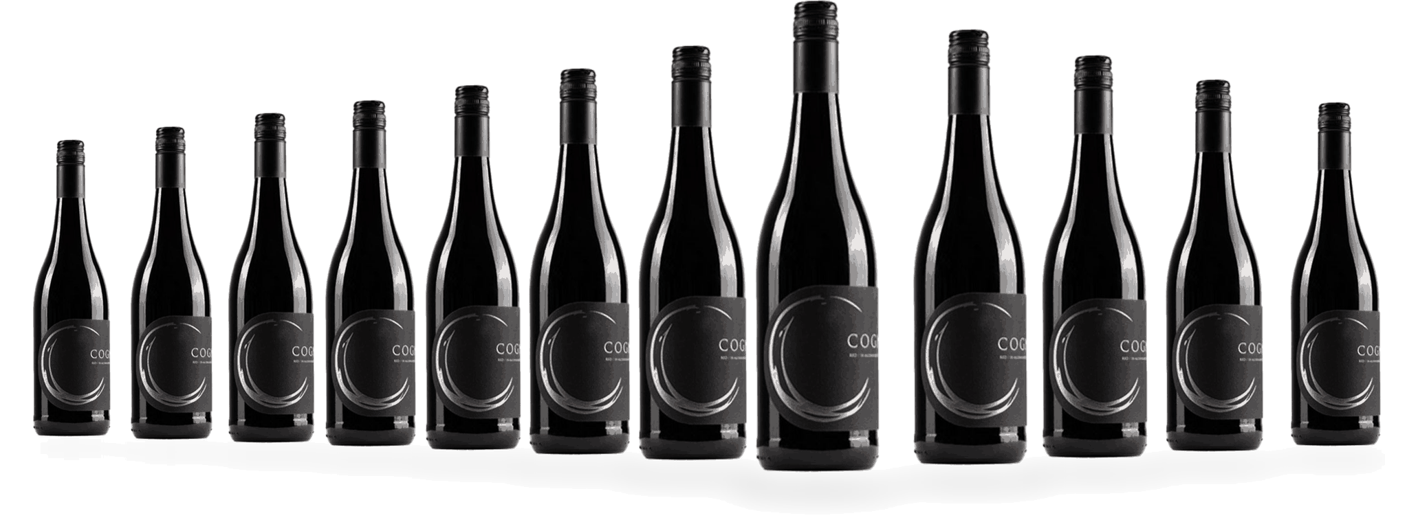 12 Flaschen Cognato Cabernet Sauvignon