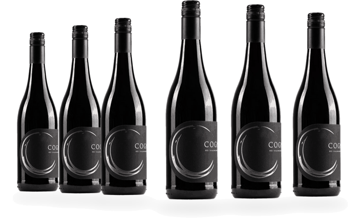 6 Flaschen Cognato Cabernet Sauvignon