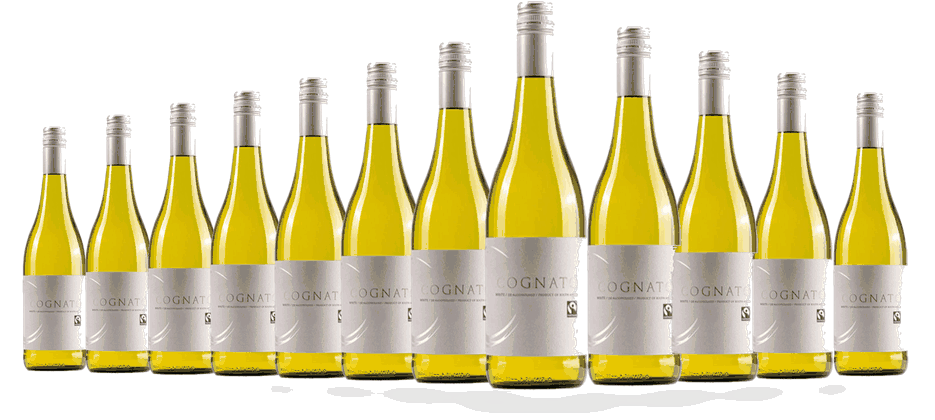 12 Flaschen Cognato Chenin Blanc