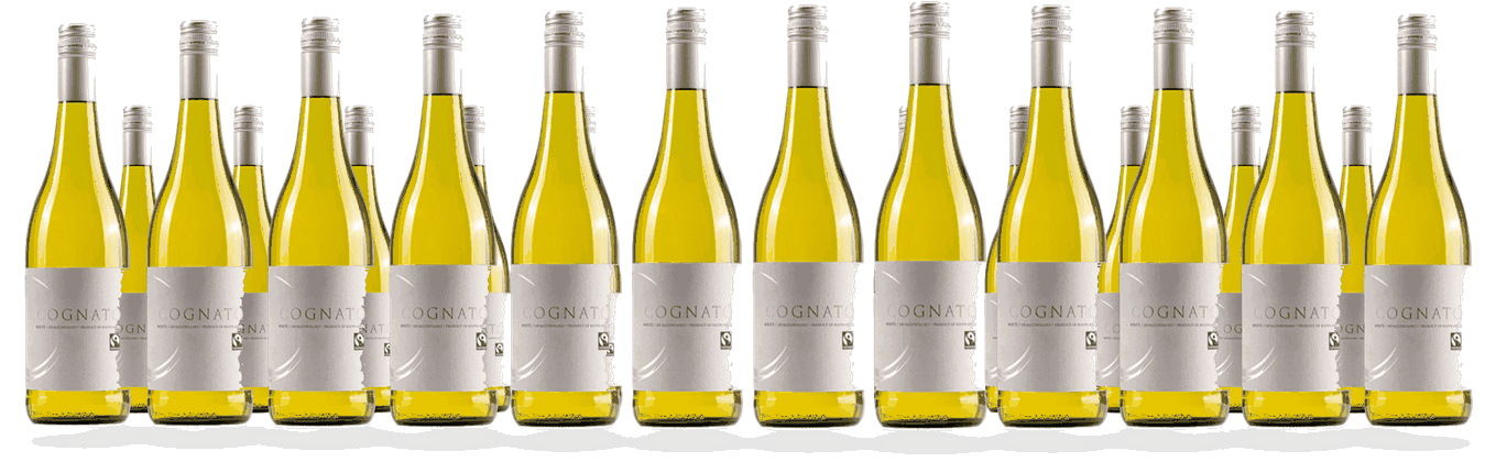 24 Flaschen Cognato Chenin Blanc