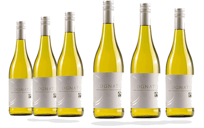 6 Flaschen Cognato Chenin Blanc