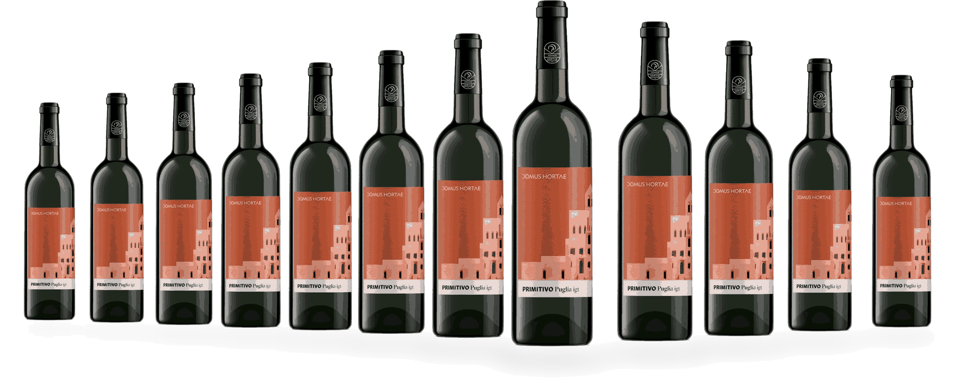 12 Flaschen Domus Hortae Primitivo 2023