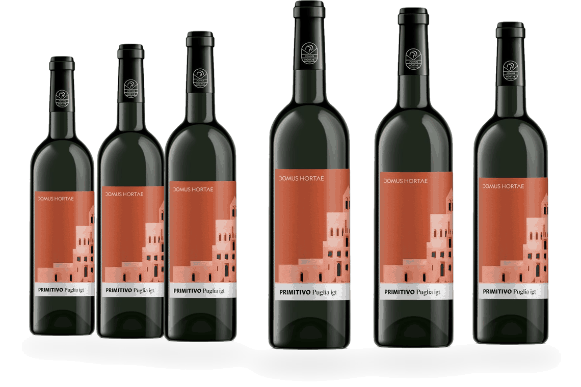 6 Flaschen Domus Hortae Primitivo 2023